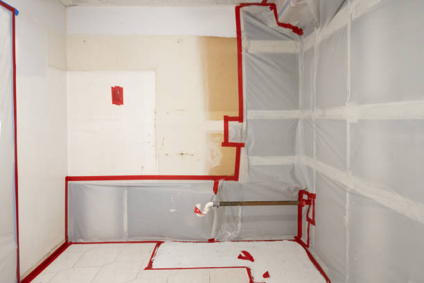 Best Mold Odor Removal Services  in Caledonia, MN