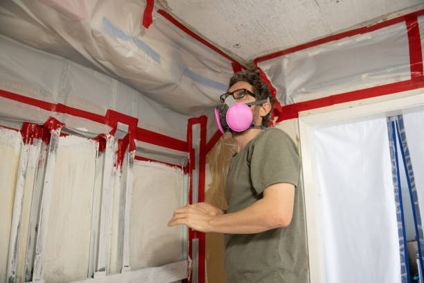 Asbestos and Lead Testing During Mold Inspection in Caledonia, MN