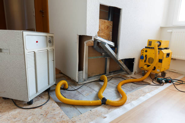Best Residential Mold Inspection & Testing  in Caledonia, MN