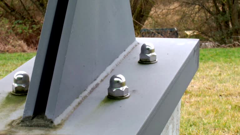Best Mold Prevention Services  in Caledonia, MN